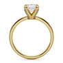 Felicity Lab-Grown Diamond Ring - View 2