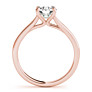 Carlisle Cathedral Lab-Grown Diamond Ring - View 2